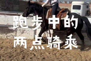 「马术学习」〃马术学了有什么用