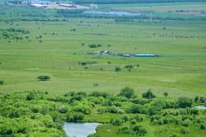 「内蒙地区几个城市有疫情」〃内蒙有哪些城市有疫情