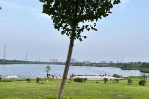 邯郸旅游景点排名榜前十名-河北景点排名榜前十名