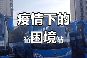 疫情停运地区有哪些〃最新疫情停运