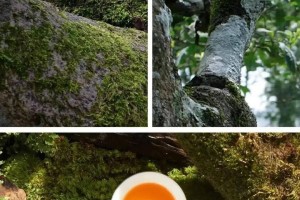 【疫情地区茶楼暂不开放/疫情期间茶叶店可开业吗】