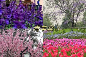 【成都旅游景点/成都旅游景点必去的地方图片】