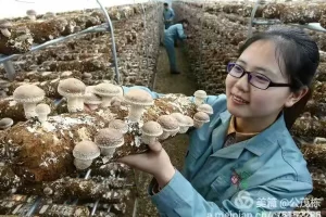 蒙阴是什么病毒疫情地区︰(蒙阴县疫情通报)