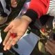 “野外学习2” 野外学习2汉化下载？