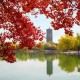 北大简单学习网〃北大大学简介视频