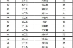 “十一个重点疫情地区” 十一个重点疫情地区名单？