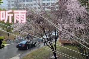关于无疫情地区大学封校的信息