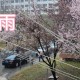 关于无疫情地区大学封校的信息