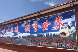 到永登怎么报备疫情地区.永登县最新疫情要求