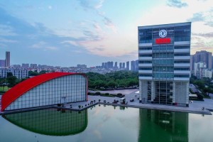 东风汽车集团股份有限公司.东风汽车集团股份有限公司岚图