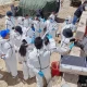 阿里地区疫情表最新,阿里地区防疫政策
