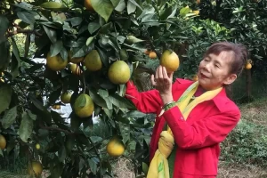 “郭家沱地区疫情解封情况” 重庆郭家沱？