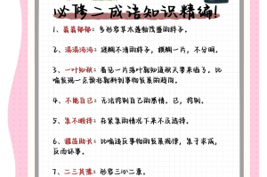 认真学习的成语,10个成语加解释高中