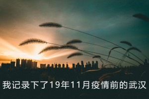 11月没有疫情的地区.11月疫情不可以去的地方
