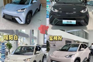“比亚迪电动汽车费用” 比亚迪电动汽车费用及图片大全？