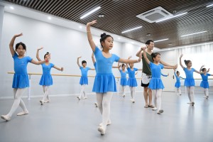 舞蹈学习学校,舞蹈学校主要学什么