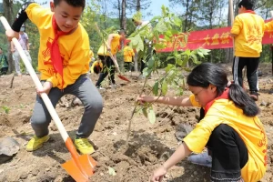 上海花木地区新冠疫情︰(上海花木地区范围)