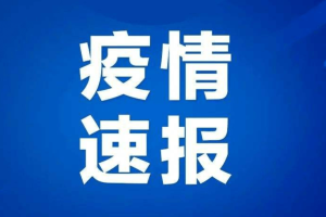 哪里可以查疫情地区来源〃疫情怎么查从哪个区来的