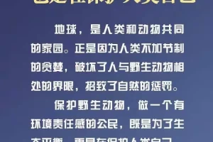 魏县哪个地区有疫情病例.魏县最新