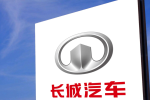 长城汽车集团︰(长城汽车集团有限公司是国企吗)