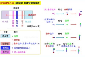 所属地区怎么查询疫情.怎么查询所在地疫情情况