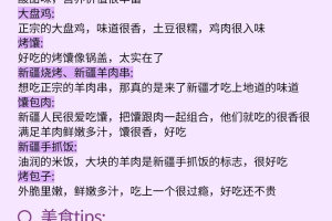 新疆旅游攻略︰(新疆旅游攻略路线最佳路线及费用)
