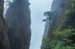 黄山旅游路线图〃黄山旅游路线图公里数
