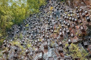 “湖北旅游景点推荐” 湖北旅游景点推荐大全？