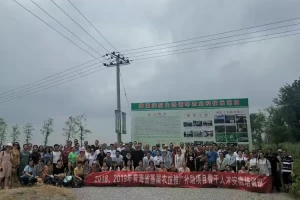 青海非洲猪瘟疫情地区,青海病毒