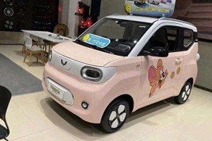 新能源汽车推荐-女士电车新能源汽车推荐