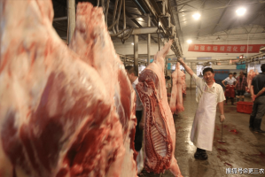 “华北地区生猪疫情” 华北地区生猪疫情防控措施？