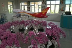 三沙市旅游团报价6日游.三沙市旅游团报价6日游做飞机多钱