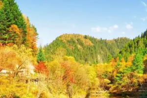 【九寨沟旅游适合几月份去/9月份九寨沟适合去旅游吗】