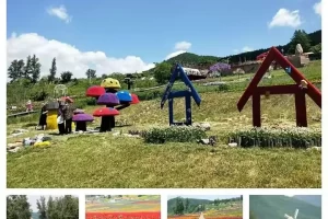 康辉旅游,康辉旅游集团浙江世界旅行社有限公司