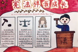 学习宪法手抄报︰(初二宪法手抄报一等奖)