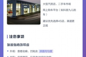 普桑汽车报价-十万左右落地公认比较好车