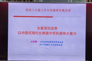 学习十八届三中全会︰(党的十八届三中全会精神体会)
