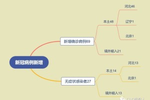 【邢台有多少地区疫情病例/邢台有几个县有疫情】
