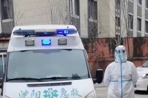 沈阳桃仙地区有疫情吗.沈阳桃仙镇