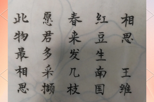 努力学习的诗句〃关于努力读书的诗句