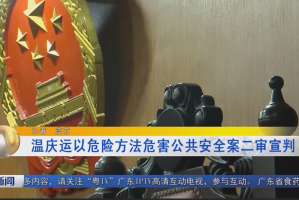 广州宝马撞人司机背景︰(宝马车主撞人视频)