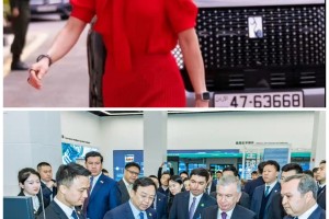 【世界汽车之父是谁/汽车之父是哪国人】
