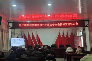 学习贯彻党的创新理论方面.党的创新理论方面存在问题