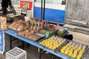 疫情东北贫困地区物资〃疫情东北贫困地区物资有哪些