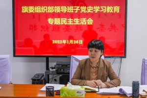 包含党史学习教育专题民主生活会的词条