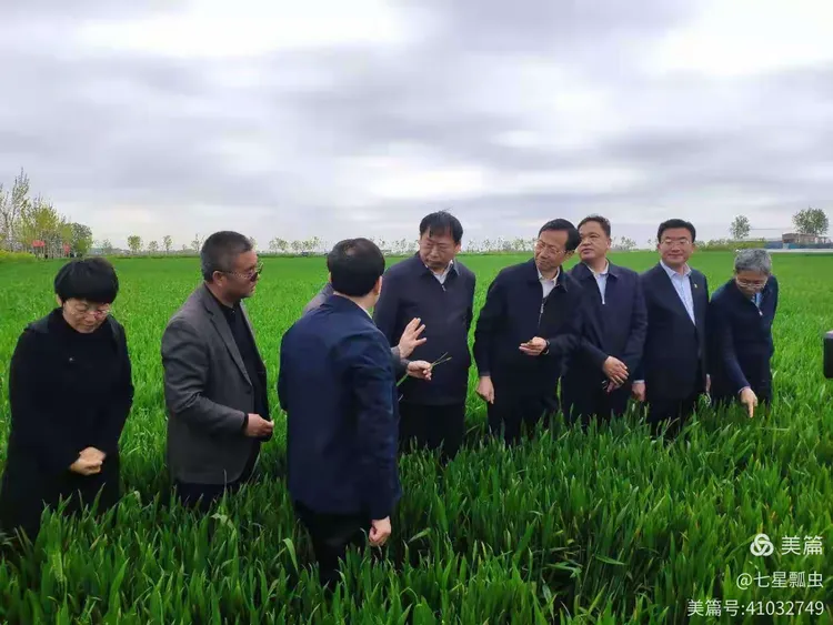 「长葛疫情风险地区图」〃长葛疫情风险地区图表-第2张图片