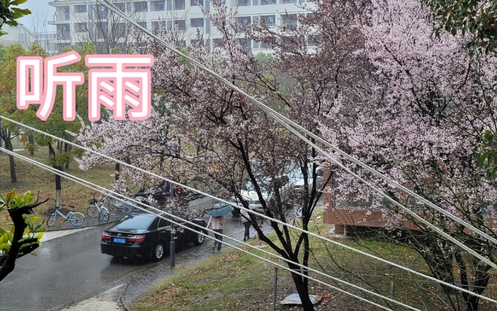 关于无疫情地区大学封校的信息-第1张图片