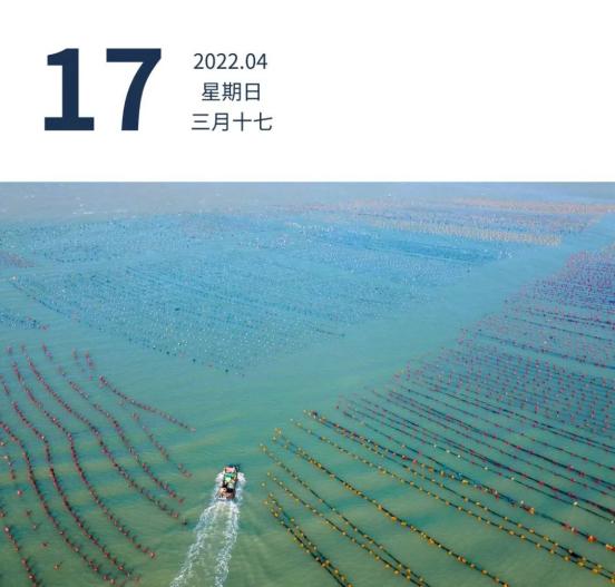 “韶关疫情什么风险地区	” 韶关地区疫情动态？-第1张图片