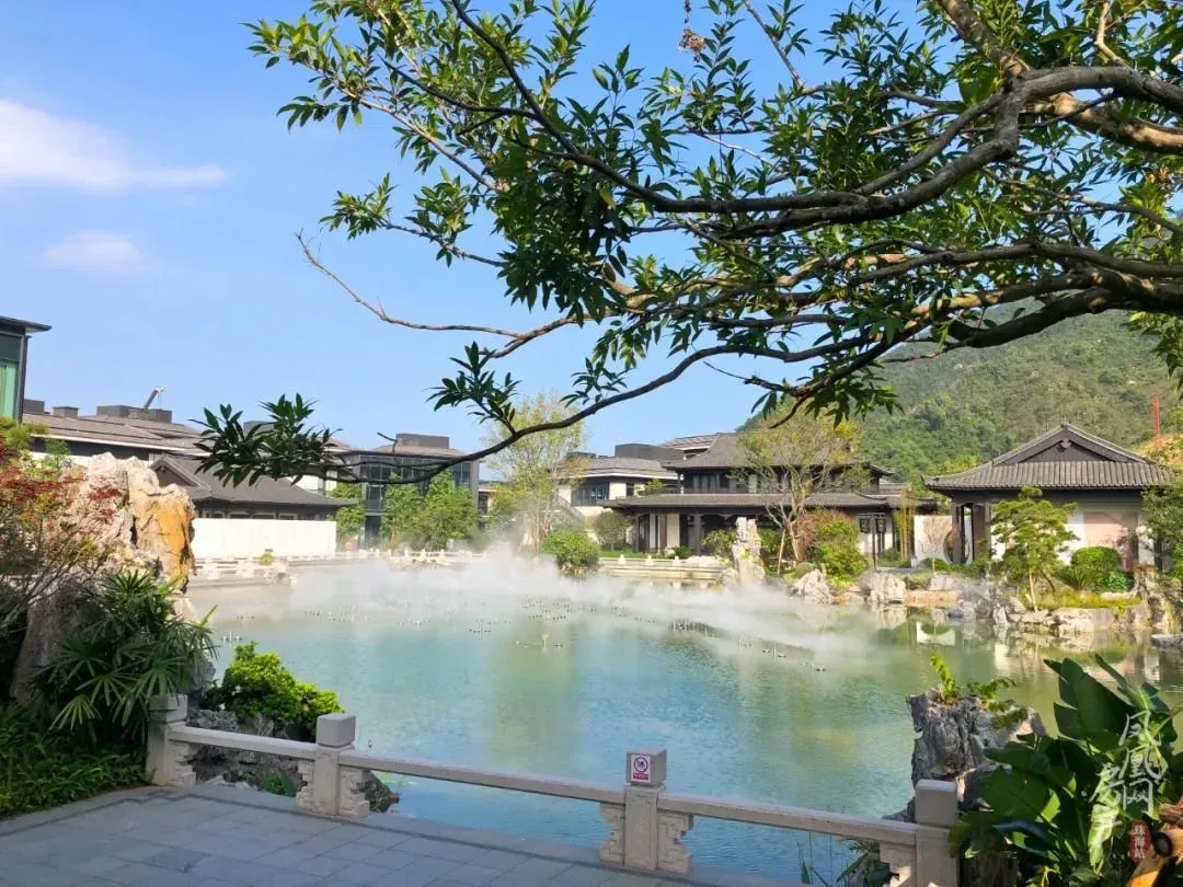 唐家湾地区疫情情况如何-唐家湾景区百科-第1张图片