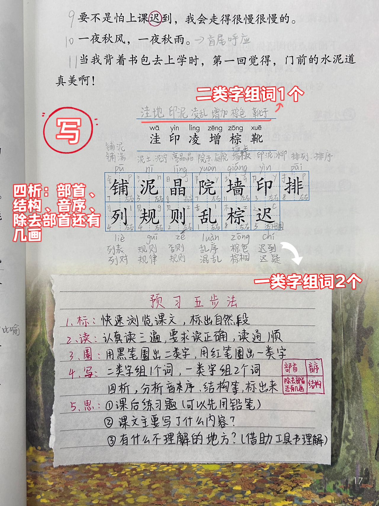 包含自主学习能力的培养的词条-第3张图片